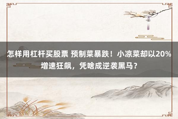怎样用杠杆买股票 预制菜暴跌!小凉菜却以20%增速狂飙,凭啥成逆袭黑马?
