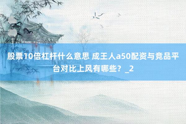 股票10倍杠杆什么意思 成王人a50配资与竞品平台对比上风有哪些？_2